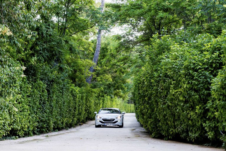 paco ortega fotografo bargas