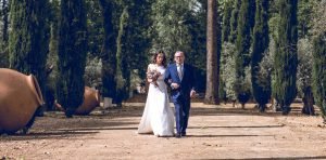 Fotógrafo de Bodas en Madrid