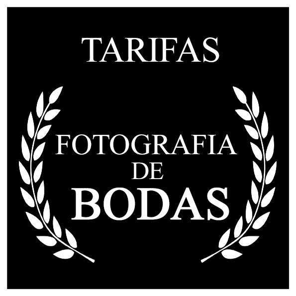 Paco Ortega - Fotógrafo de Bodas en Toledo y Madrid, Mejores Precios