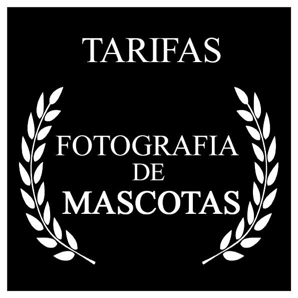 Paco Ortega - Fotógrafo de Mascotas en Toledo y Madrid, Mejores Precios. Fotos de Perros y Gatos