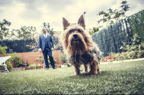Reportajes de Boda en Madrid